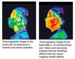 Cell phones heat up brain tissue. They "cook" the brain.