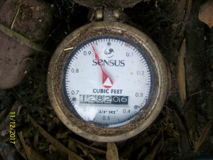 Analog water meter